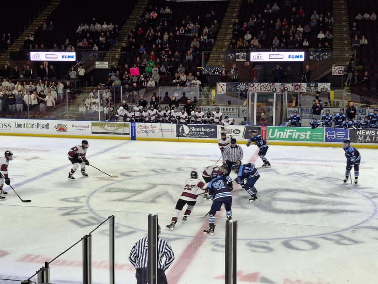 Rams' rally falls short against Wildcats in regional final