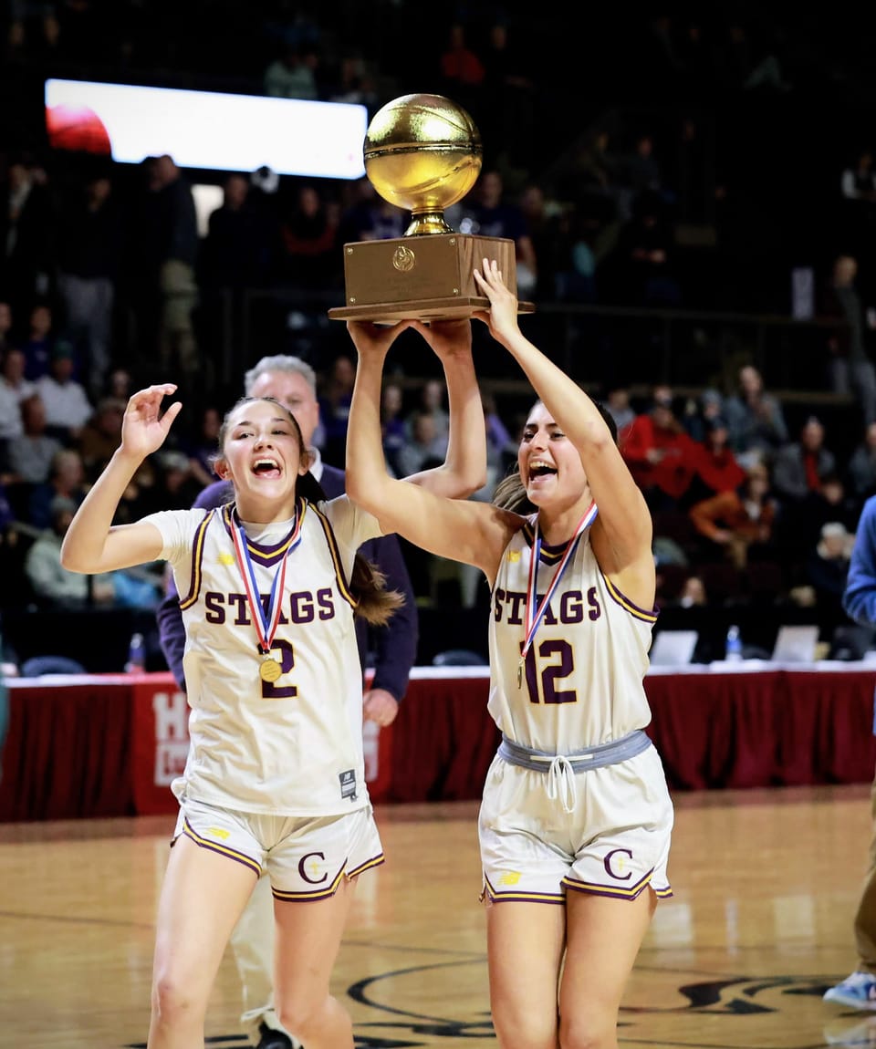 Hoffer's High School Sports girls' basketball all-star team