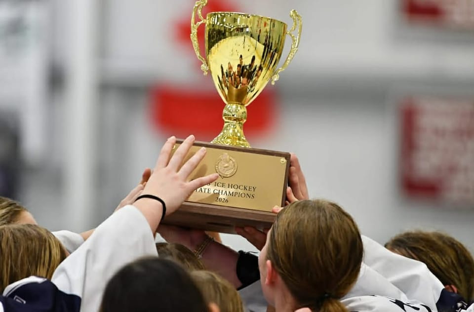 Hoffer's High School Sports girls' hockey all-star team